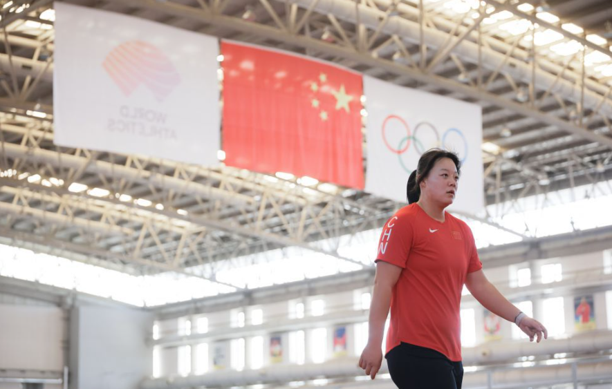 乐鱼体育网址与其他平台的优劣比较