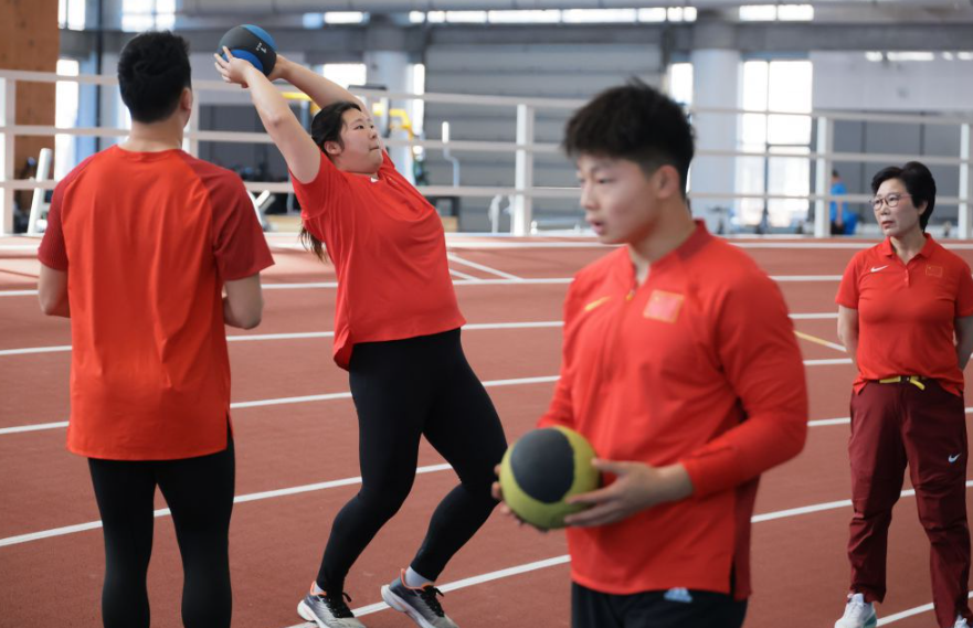 乐鱼体育全站app的用户增长趋势分析
